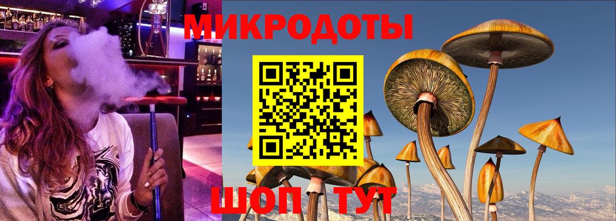 Шахты  где купить наркоту  Вход с VPN  Псилоцибиновые грибы MAGIC MUSHROOMS 